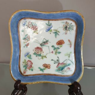 A Good Chinese Antique 19th Century Famille Rose Grasshopper Dish