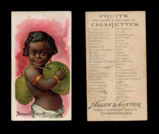 1891 Allen & Ginter Card Fruits & Children N12 " Bread Fruit "