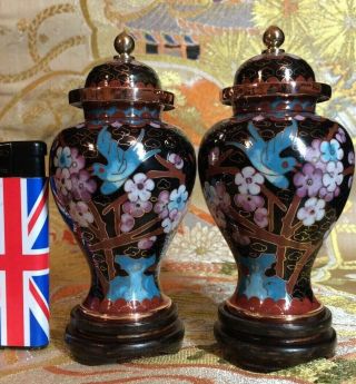 Two Matching Mirror Pairs Of Antique Chinese Black Cloisonne Vases.  Prunus.