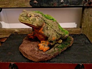 Antique Reclaimed Large Stone Toad 11kg Circa 1900 Derelict Cottage Garden Find