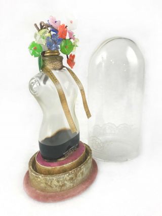 Vtg Schiaparelli Torso Bottle Shocking Perfume Glass Flowers Under 6.  5 " Dome