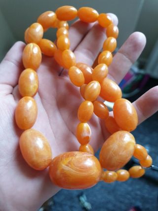 Vintage Antique Graduated Baltic Amber Egg Yolk Bead Necklace Approx 60g