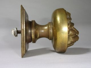 Brass Lions Head Doorknob Victorian Style Vintage large centre door pull knob 2