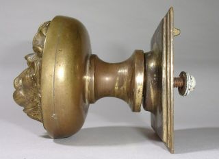 Brass Lions Head Doorknob Victorian Style Vintage large centre door pull knob 3