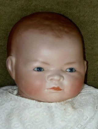 Antique Bisque Doll Bye - Lo Baby Celluloid Hands Fabulous Gown Body