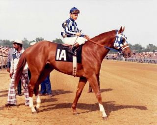 Secretariat Eddie Sweat & Ron Turcotte - 1973 Kentucky Derby 8x10 Photo