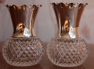Antique Pair Solid Silver Cut Glass Vases John Grinsell & Son