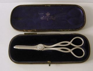 Victorian Sterling Silver Grape Scissors Birmingham 1886 Gilbert & Spurrier
