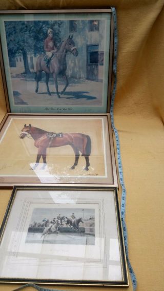Horse Racing Legend Red Rum Signed Sports Grand National Vintage Pictures Print