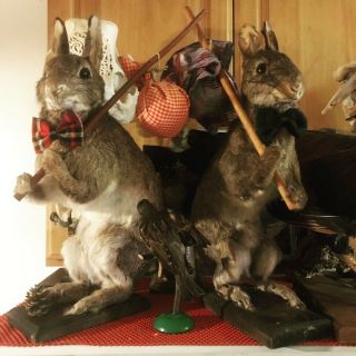 Antique Rabbit Full - Body Mounts - The Two Dandy Hobos - Just In Time For Easter