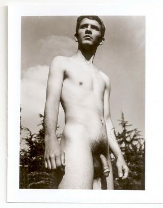 Vintage Male Nude - 1960 