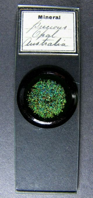 Antique Microscope Slide.  " Precious Opal From Australia ".