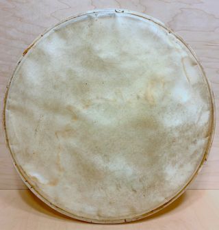 Amrawco 1920s 30s Vtg Calfskin 14 - Inch Drum Head Calf Skin Snare Drum Floor Tom