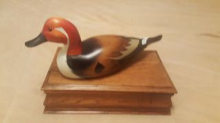 Pintail Wood Duck Decoy Mounted On Maple Box 9 7/8 " X 6 "