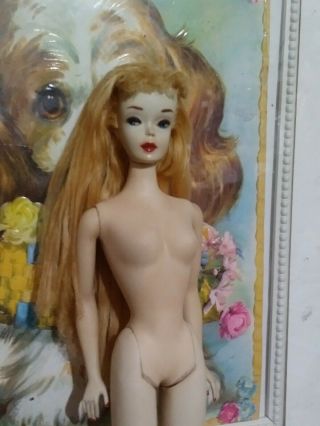 Vintage Rare 3 Blonde Barbie Doll Solid Body With Nipples