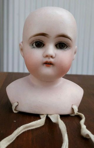 Authentic Antique German Bisque Doll Head 2/148,  Kestner (?)