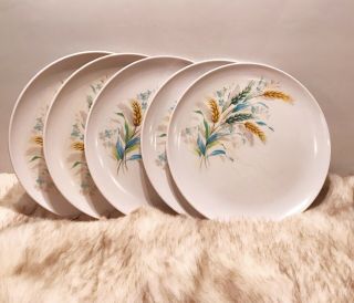 Vintage 1950’s Melmac Style Wheat Plates Set Of 5 Retro Mod Flower Power