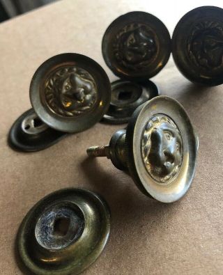 4 Heavy Old Vintage Antique Victorian Lion Brass Or Bronze Knobs