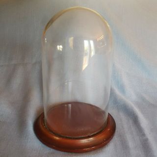 Vintage Glass Display Dome 11 " Height With Wood Base