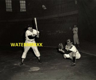 1954 Ted Williams Boston Red Sox Al Hof 8x10 Photo ^ &
