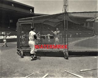 1954 Ted Williams Boston Red Sox Al Hof In Batting Cage 8x10 Photo ^