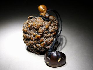 SIGNED Chestnut NETSUKE w TONKOTSU INRO w OJIME Japanese Edo Antique 2