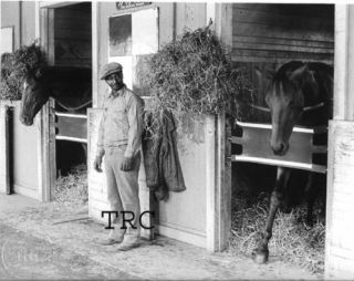 Secretariat,  Riva Ridge,  Eddie Sweat - 1973 Horse Racing Photo In Barn