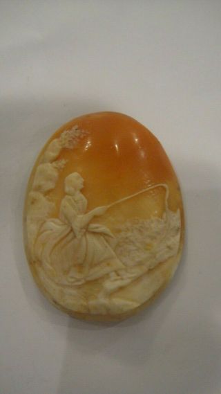 Large Vintage Antique Unmounted Cameo Shell For A Brooch