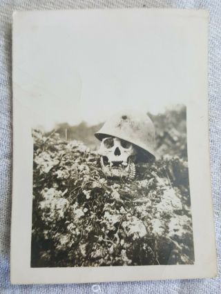 Vintage Ww2 Era Skull With Helmet Photograph