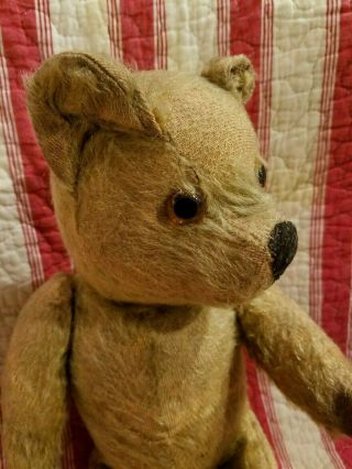 Antique Vintage Old English Pedigree Mohair Teddy Bear 15 "