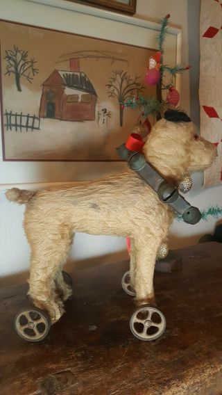 Antique Steiff Terrier On Cast Iron Wheels