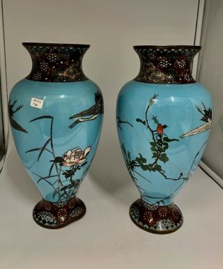 Large Antique Pair Cloisonne Enamel Vases circa 1900 3
