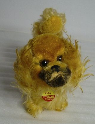 Large Vintage 50s/60s Steiff Mohair Peky Pekingese Dog With Button And All Tags