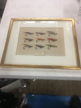 Framed Display Of Antique Hand Tied Fishing Flies With Info
