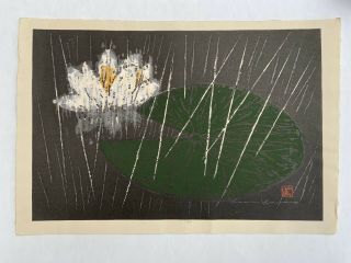 Kaoru Kawano Japanese Woodblock Print “lotus In The Rain” Sosaku Hanga Ca 1950’s