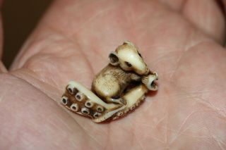 Antique Japanese Netsuke Of A Rat On An Octopus Tentacle.