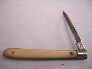 Vintage M.  B.  Co Meridan Cutlery 1917 - 26 Bone Handle Quil Knife