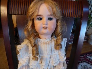 Antique Gorgeous 24 " Bisque Head Compo Body Doll Wislizenus 