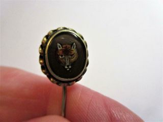 Antique,  Vintage Fox Head Stick Pin,  Brooch - Hunting