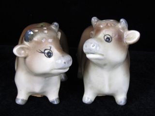 Vintage Hand Painted Cow Couple Salt And Pepper Shaker Set Japan