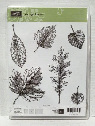 Stampin Up Vintage Leaves Photopolymer Stamps Fall Maple Leaf