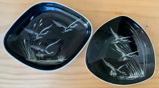 2 X Vintage Australian Diana Pottery Hand Painted ‘a Wild Duck’ Plates Incl; S10