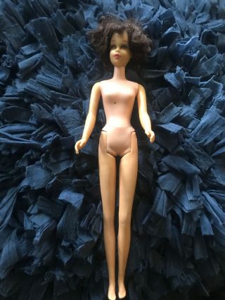 Nude Francie Tnt Short Hair Brunette Doll W/headband