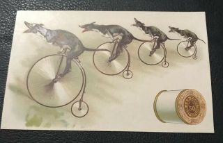 Coats Thread Victorian Trade Card Featuring Vintage Bicycles And Dogs.