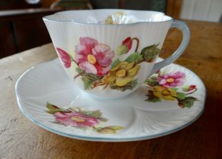 Vintage Shelley " Begonia " Dainty Teacup And Saucer Pattern 13427