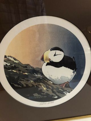 Signed Byron Birdsall Alaska 1984 PUFFIN Penguin Vintage Framed Lithograph Print 2