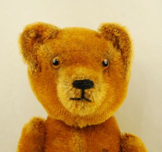 Vintage Gold Mohair Humpback Teddy Bear with Squeaker 17.  5 