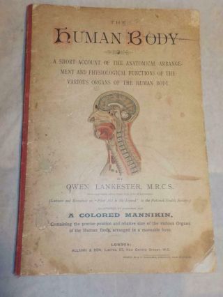 1892 Human Anatomy Book " The Human Body " By Owen Lankester With Layered Mannikin