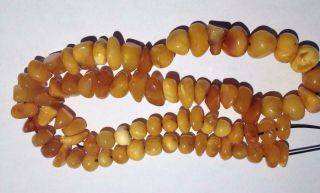 Antique Necklace 42 Grs Natural Baltic Amber Butterscotch Egg Yolk Beads