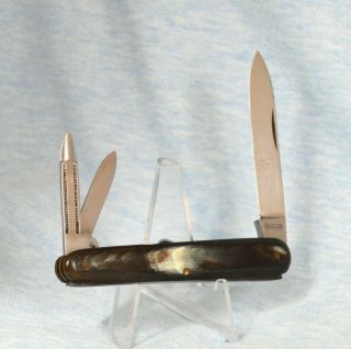 Vintage Krusius " Gobernador " Buffalo Horn Whittler Knife 1856 - " Salesman Sample "